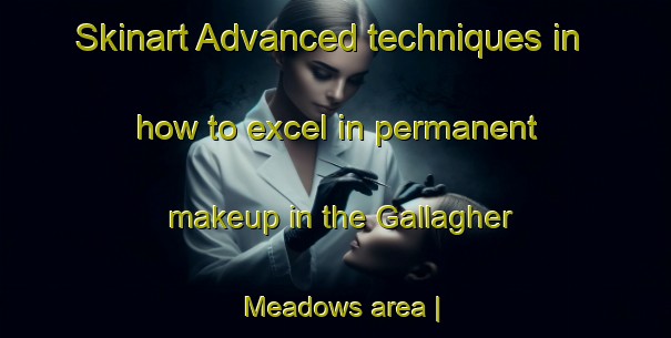 Skinart Advanced techniques in how to excel in permanent makeup in the Gallagher Meadows area | PermanentmakeupTraining | PermanentmakeupClasses | SkinartTraining-United States